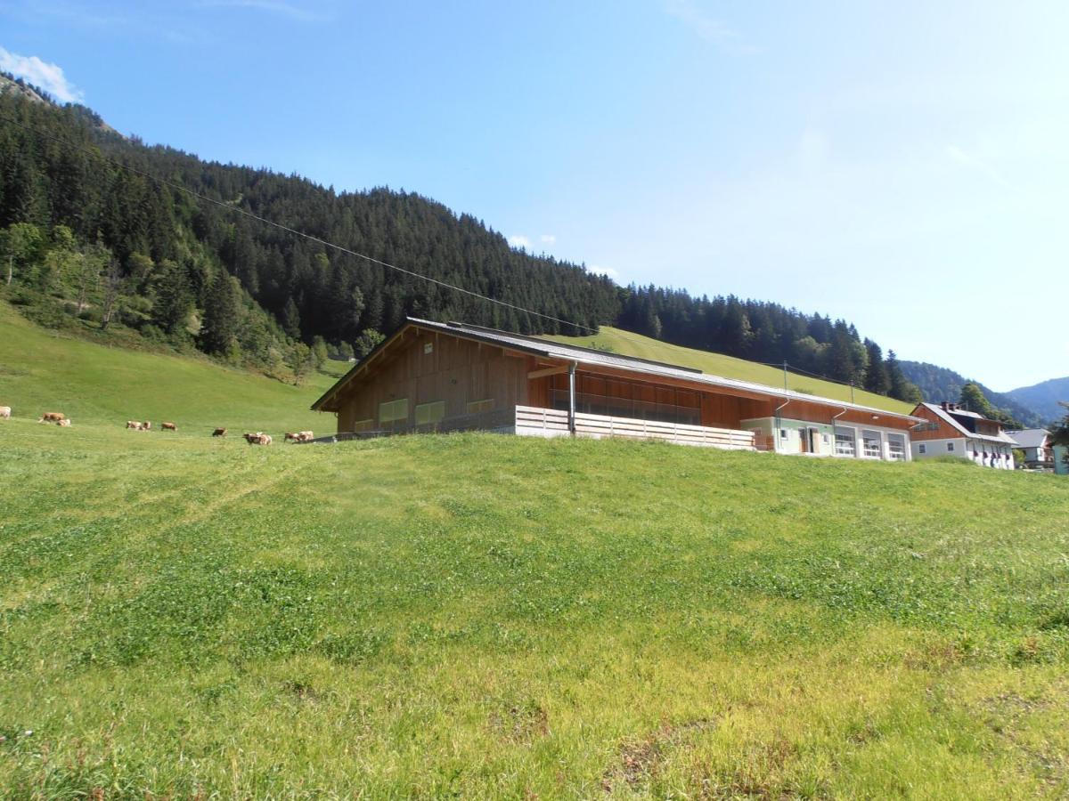 Вилла Huberbauer Johnsbach Экстерьер фото